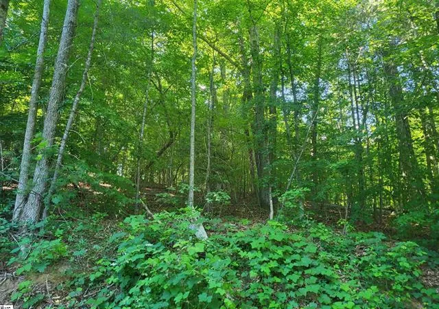 Homes for sale in Marietta, SC | 00 Hidden Valley Rd, Marietta, SC 29661 | MLS# 20302923