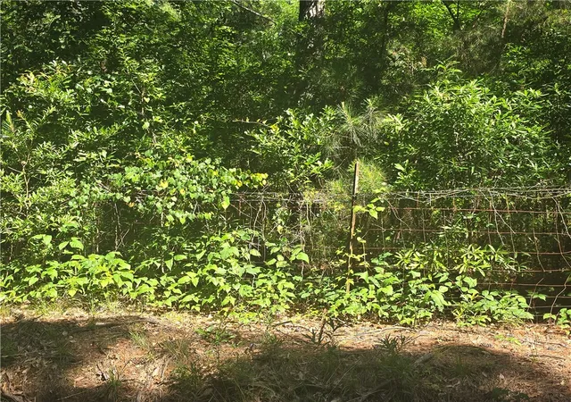 Homes for sale in Townville, SC | 123 Acres 243 Hwy, Townville, SC 29689 | MLS# 20302953