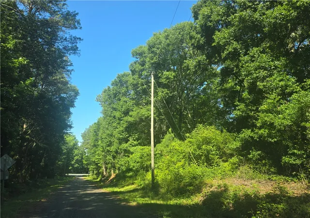 Homes for sale in Townville, SC | 123 Acres 243 Hwy, Townville, SC 29689 | MLS# 20302953