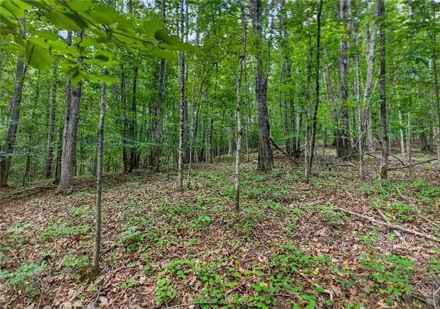 Photo 4 of House for sale at Hwy 130 Lot 5a, Seneca, SC 29672 | MLS# 20302979 | Listing updated on 2026-08-05