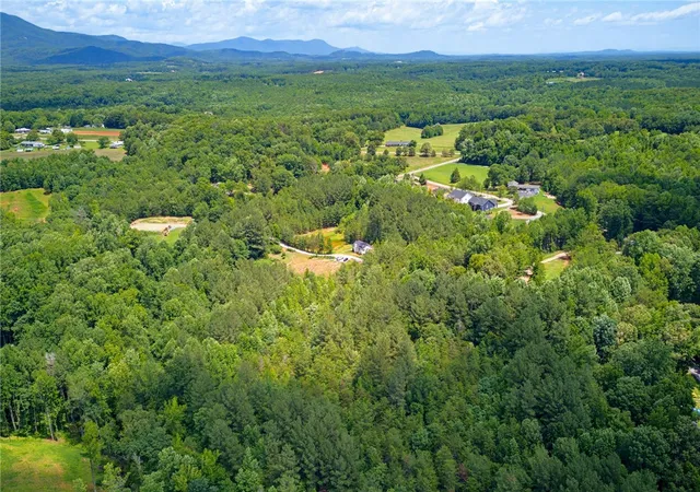 Photo 3 of Land for sale at 1217 Pleasant Hl Rd, Landrum, SC 29356 | MLS# 20303042 | Listing updated on 2026-08-27