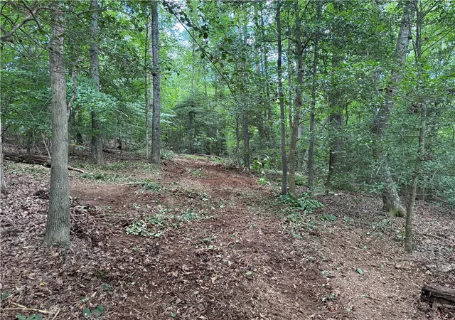 Photo 4 of Land for sale at 0 Southwood Dr, Greenville, SC 29605 | MLS# 20303107 | Listing updated on 2026-09-01