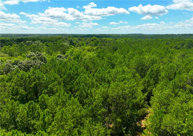 Photo 3 of House for sale at 401 Coleman Rd, Clinton, SC 29325 | MLS# 20303079 | Listing updated on 2026-07-14