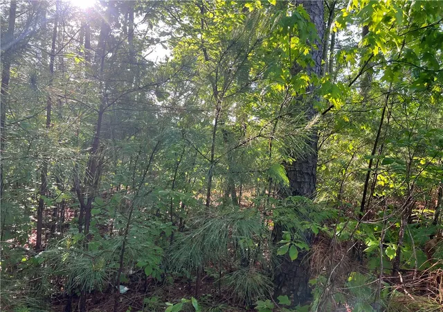 3rd image of 00 Seed Farm Rd, Westminster, SC 29693 | MLS# 20303181