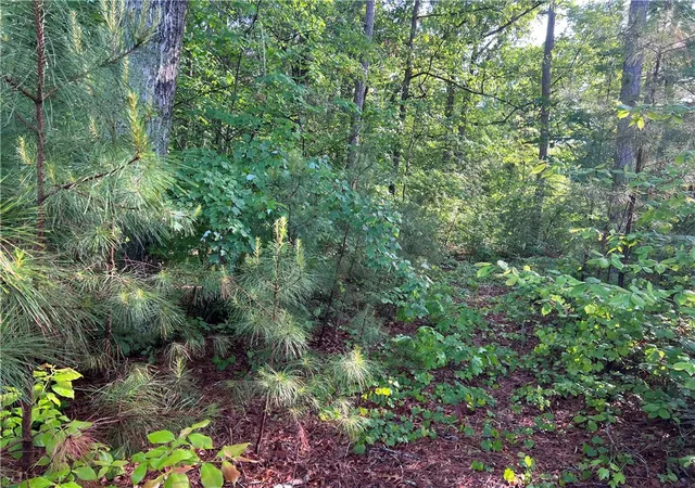 4th image of 00 Seed Farm Rd, Westminster, SC 29693 | MLS# 20303181