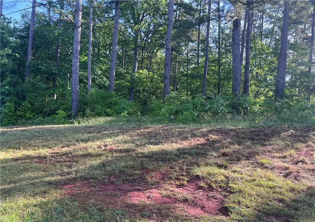 5th image of 00 Seed Farm Rd, Westminster, SC 29693 | MLS# 20303181