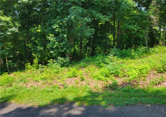 Photo 3 of Land for sale at 00 Fox Fire Rd, Central, SC 29630 | MLS# 20303209 | Listing updated on 2026-07-30