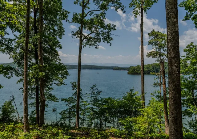 Photo 2 of Land for sale at 233 Sandy Holw Ct, Six Mile, SC 29682 | MLS# 20303296 | Listing updated on 2026-07-06
