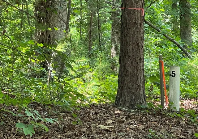 1st image of 00 Promontory Rdg #Lot 45 Stillwater, Seneca, SC 29672 | MLS# 20303341