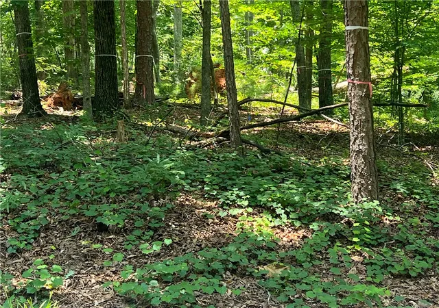 3rd image of 00 Promontory Rdg #Lot 45 Stillwater, Seneca, SC 29672 | MLS# 20303341