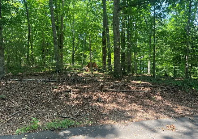 4th image of 00 Promontory Rdg #Lot 45 Stillwater, Seneca, SC 29672 | MLS# 20303341