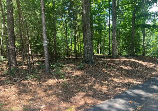 5th image of 00 Promontory Rdg #Lot 45 Stillwater, Seneca, SC 29672 | MLS# 20303341