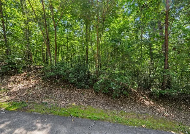 Photo 3 of Land for sale at 14 Alsace Way, Travelers Rest, SC 29690 | MLS# 20303329 | Listing updated on 2026-07-01