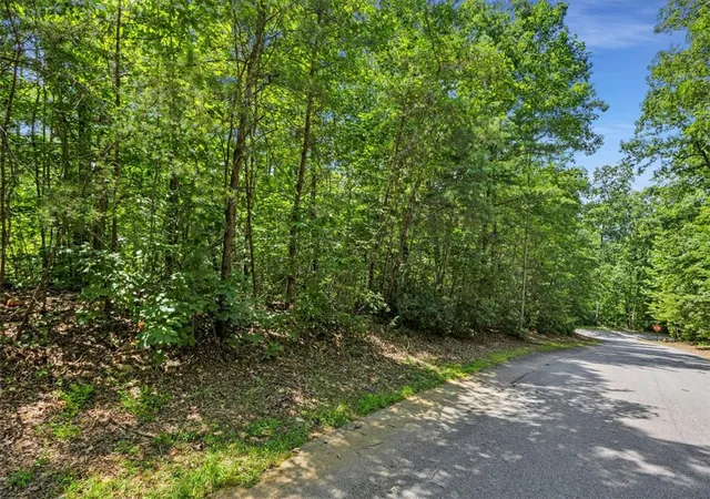 Photo 4 of Land for sale at 14 Alsace Way, Travelers Rest, SC 29690 | MLS# 20303329 | Listing updated on 2026-07-01