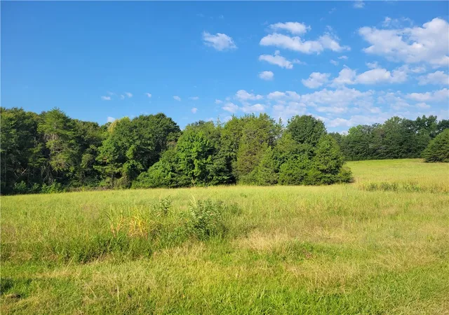 Photo 3 of Land for sale at 00 Holland Frd Rd, Pelzer, SC 29669 | MLS# 20303393 | Listing updated on 2026-08-27