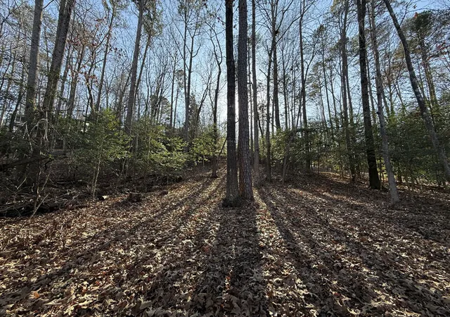 3rd image of 133 Sweetgum Dr, Westminster, SC 29693 | MLS# 20303407