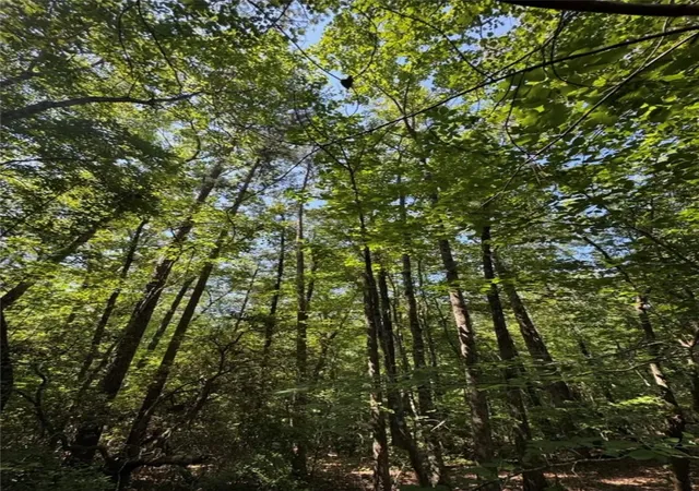 Photo 4 of Land for sale at Tract 1j The Bear Blvd, Tamassee, SC 29686 | MLS# 20303253 | Listing updated on 2026-07-02