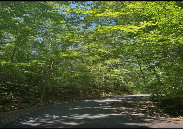2nd image of Tracts U & 1j The Bear Blvd, Tamassee, SC 29686 | MLS# 20303242
