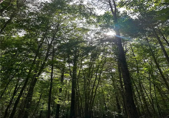Photo 1 of Land for sale at 209 Gale Dr, Pelzer, SC 29669 | MLS# 20303426 | Listing updated on 2026-09-13