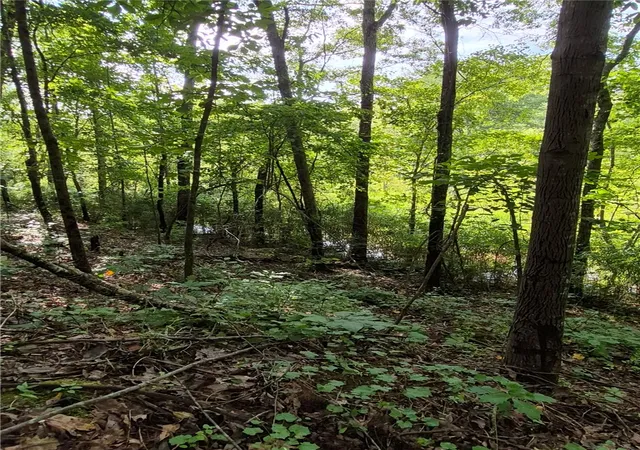 Photo 2 of Land for sale at 209 Gale Dr, Pelzer, SC 29669 | MLS# 20303426 | Listing updated on 2026-09-13
