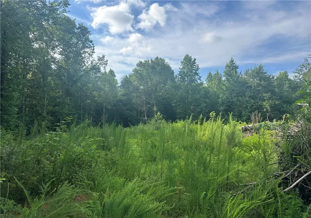 Photo 3 of Land for sale at 209 Gale Dr, Pelzer, SC 29669 | MLS# 20303426 | Listing updated on 2026-09-13