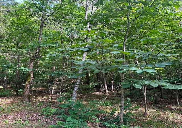 Photo 3 of Land for sale at 209 Gale Dr, Pelzer, SC 29669 | MLS# 20303426 | Listing updated on 2026-09-13