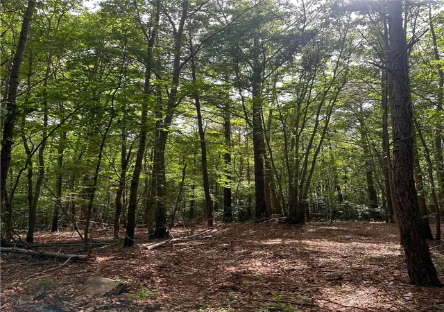 Photo 4 of Land for sale at 209 Gale Dr, Pelzer, SC 29669 | MLS# 20303426 | Listing updated on 2026-09-13