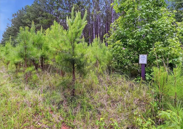3rd image of 31 Waterside Point, Abbeville, SC 29620 | MLS# 20303446