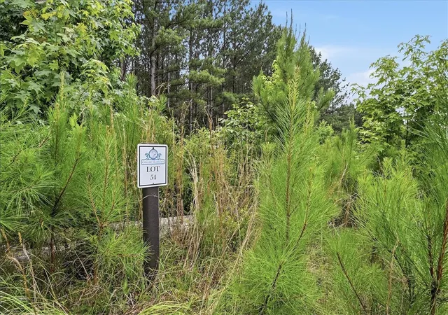 4th image of 31 Waterside Point, Abbeville, SC 29620 | MLS# 20303446