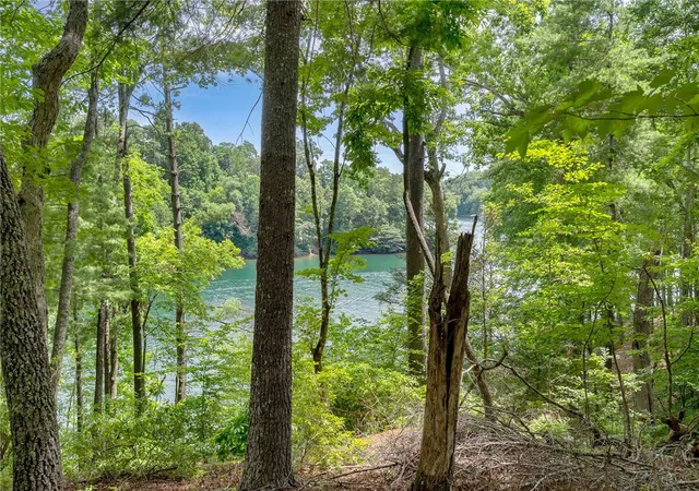 3rd image of 913 Rippling Water Wy, Salem, SC 29676 | MLS# 20303462