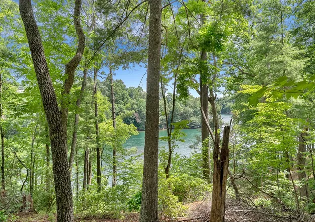 4th image of 913 Rippling Water Wy, Salem, SC 29676 | MLS# 20303462