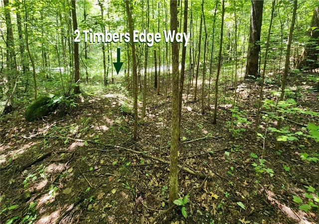 Homes for sale in Travelers Rest, SC | 2 Timbers Edge Wy, Travelers Rest, SC 29690 | MLS# 20303417