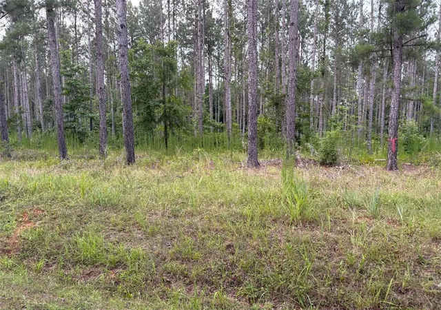 Photo 2 of Land for sale at 442 Acres Mike Mcconnell Ave, Iva, SC 29655 | MLS# 20303472 | Listing updated on 2026-10-15