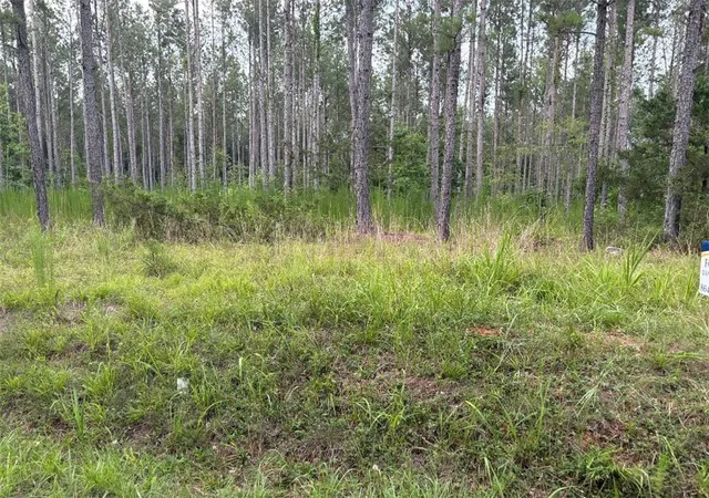 Photo 3 of Land for sale at 442 Acres Mike Mcconnell Ave, Iva, SC 29655 | MLS# 20303472 | Listing updated on 2026-10-15