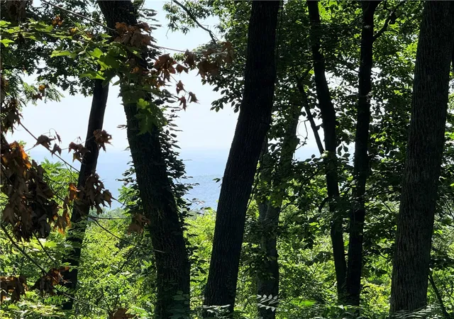 Photo 1 of Land for sale at 147 Raptor Way, Landrum, SC 29356 | MLS# 20303477 | Listing updated on 2026-07-03