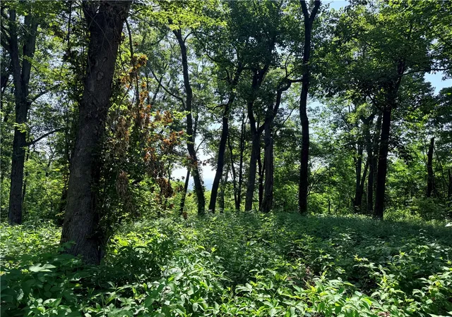 Photo 2 of Land for sale at 147 Raptor Way, Landrum, SC 29356 | MLS# 20303477 | Listing updated on 2026-07-03