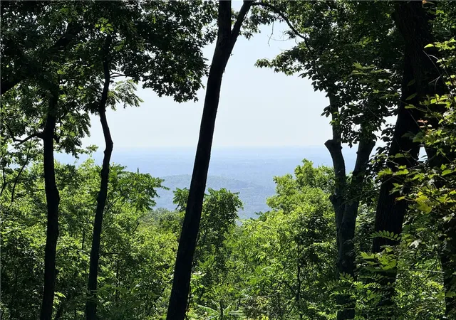 Photo 2 of Land for sale at 147 Raptor Way, Landrum, SC 29356 | MLS# 20303477 | Listing updated on 2026-07-03