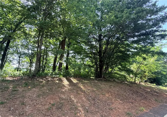 Photo 4 of Land for sale at 147 Raptor Way, Landrum, SC 29356 | MLS# 20303477 | Listing updated on 2026-07-03