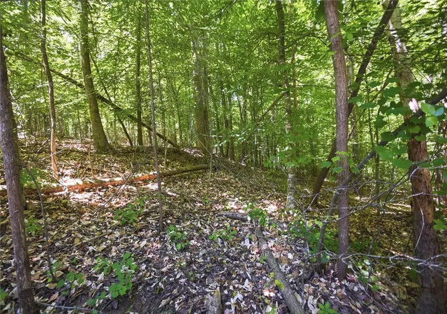 Photo 3 of Land for sale at Lot 1013 S Hogan Dr, Westminster, SC 29693 | MLS# 20302440 | Listing updated on 2026-07-12