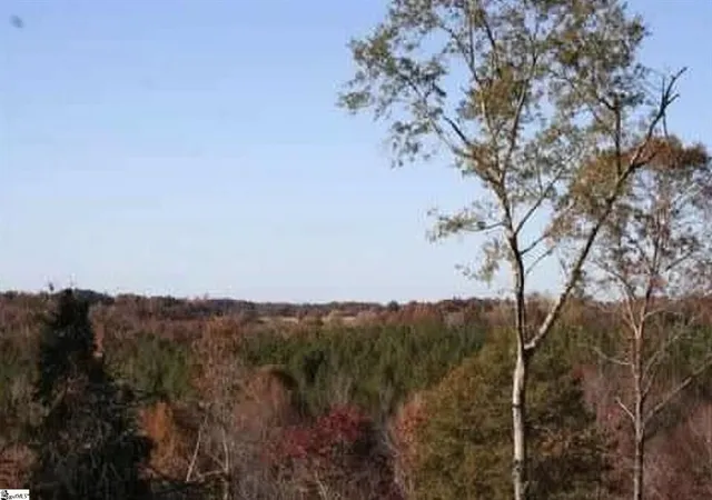 Photo 2 of Land for sale at 320 Fishers Cvs Rd, Fair Play, SC 29643 | MLS# 20303668 | Listing updated on 2026-07-09