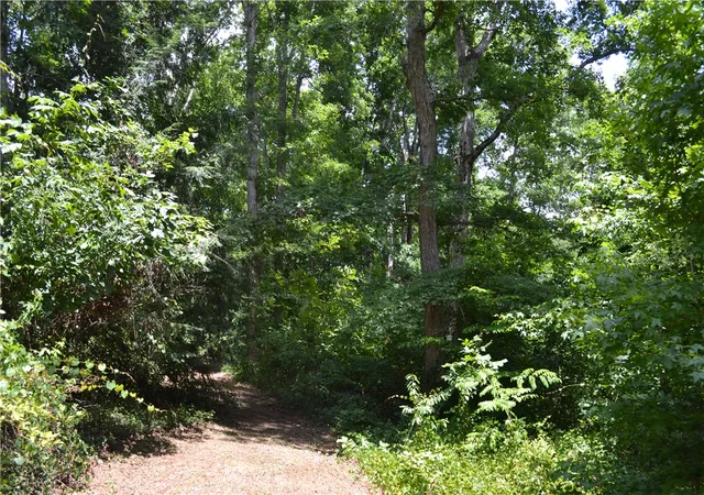 Photo 4 of House for sale at 1109 Mill St, Belton, SC 29627 | MLS# 20303743 | Listing updated on 2026-07-10