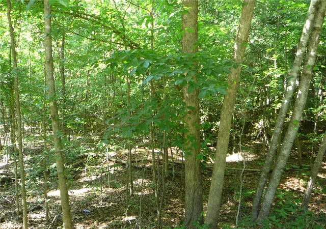 Photo 2 of Land for sale at 00 Broadway Hts Rd, Anderson, SC 29621 | MLS# 20303759 | Listing updated on 2026-09-16
