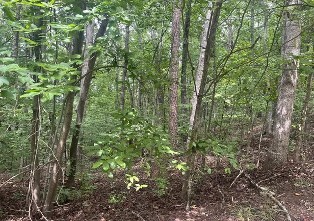 2nd image of 135 Tulip Ln, Westminster, SC 29693 | MLS# 20303801