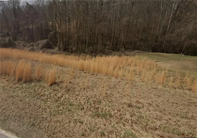 Land for sale at 501 Central Rd, Pendleton, SC 29670 | MLS# 20303792