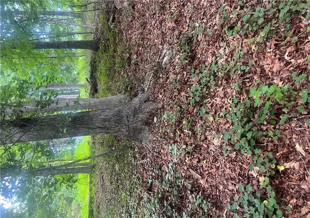 1st image of 00 S Arrowhead Rd, Westminster, SC 29693 | MLS# 20303683