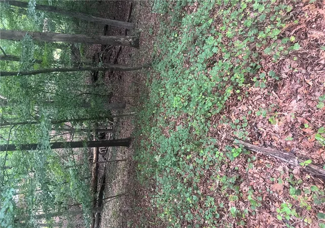 27th image of 00 S Arrowhead Rd, Westminster, SC 29693 | MLS# 20303683