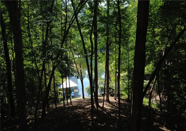 Photo 1 of Land for sale at 601 Wind Flower Dr, Sunset, SC 29685 | MLS# 20303359 | Listing updated on 2026-08-25