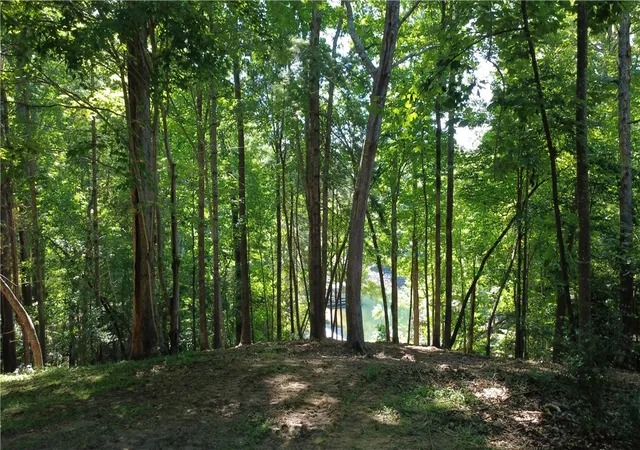 Photo 2 of Land for sale at 601 Wind Flower Dr, Sunset, SC 29685 | MLS# 20303359 | Listing updated on 2026-08-25