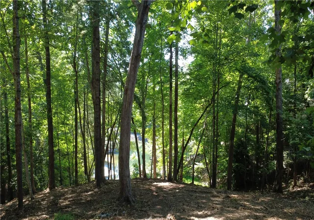 Photo 2 of Land for sale at 601 Wind Flower Dr, Sunset, SC 29685 | MLS# 20303359 | Listing updated on 2026-08-25