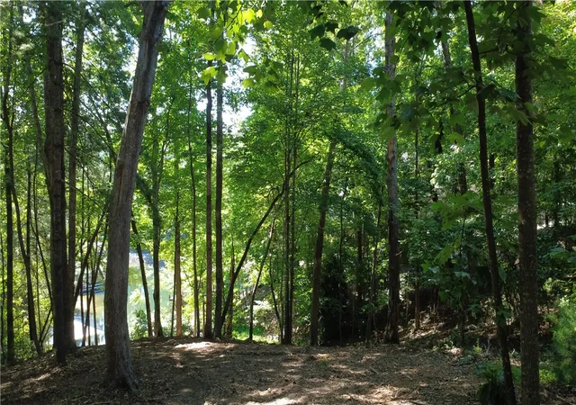 Photo 3 of Land for sale at 601 Wind Flower Dr, Sunset, SC 29685 | MLS# 20303359 | Listing updated on 2026-08-25